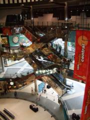 CIMG0037.JPG