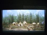 CIMG0279.JPG