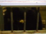 CIMG0555.JPG