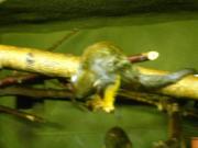 CIMG0569.JPG