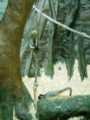 CIMG0579.JPG