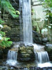 CIMG0589.JPG