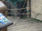 CIMG0610.JPG